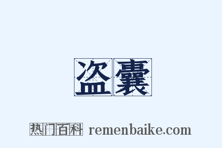 盗囊是什么意思的图片